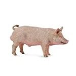 Análisis de los mejores productos ibéricos elaborados con cerdo Duroc Jersey: calidad y sabor incomparables